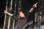 Green Day - 29.6.10 - fotografie 13 z 119