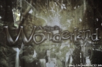Wonderland - 16.11.10 - fotografie 1 z 141