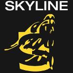 Skyline předvánočním koncertem opět podpoří Asociaci genové terapie