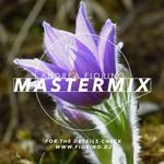 Andrea Fiorino Mastermix