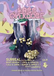 Bass Overdose: Summer Dream w/ Surreal