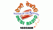 logo Desi Radio