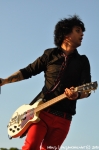 Green Day - 29.6.10 - fotografie 32 z 119
