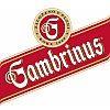Soutěž s pivem Gambrinus
