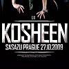 Koncert Kosheen v SaSaZu vyprodán