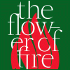 Reportáž z The Flower of Fire