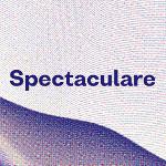 První jména festivalu Spectaculare 2018